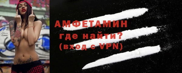 хмурый Верея