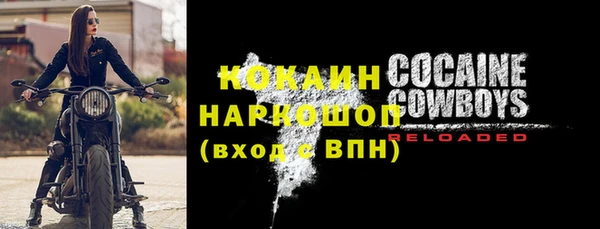 хмурый Верея