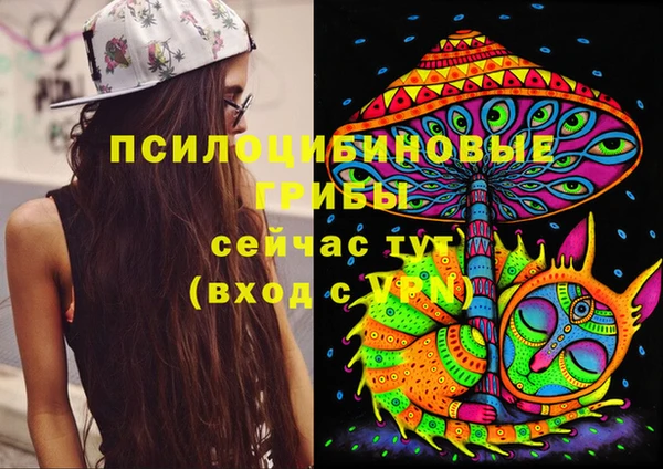 хмурый Верея