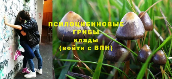 мяу мяу мука Верхний Тагил