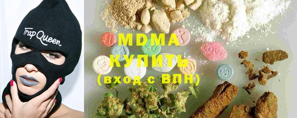 хмурый Верея