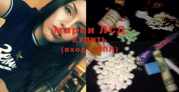 хмурый Верея