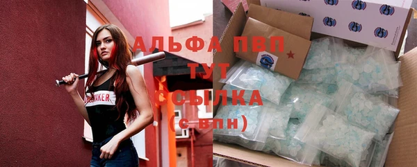 хмурый Верея