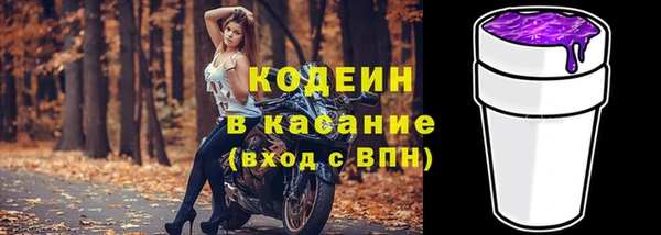 хмурый Верея